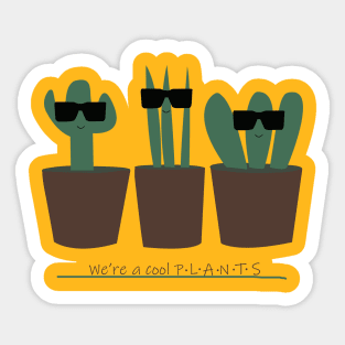 Cool plant - Cactus doodle Sticker